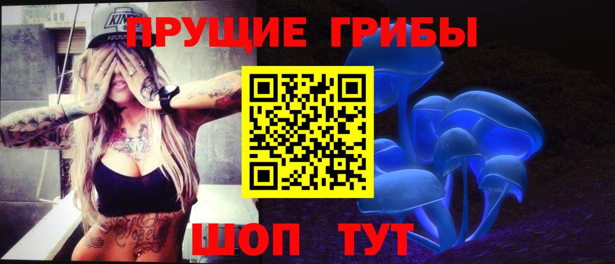 Псилоцибиновые грибы Cubensis Коломна